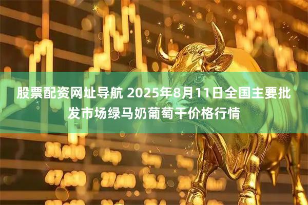 股票配资网址导航 2025年8月11日全国主要批发市场绿马奶葡萄干价格行情