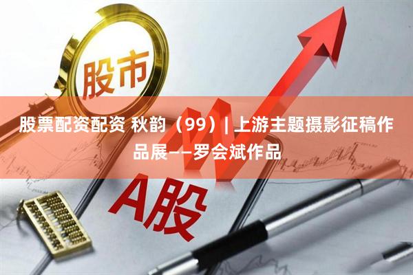 股票配资配资 秋韵（99）| 上游主题摄影征稿作品展——罗会斌作品