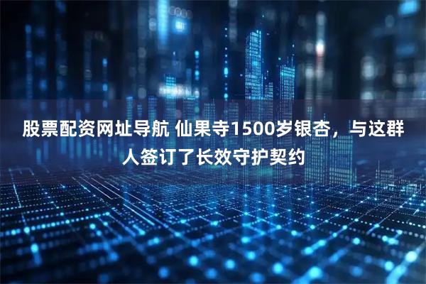 股票配资网址导航 仙果寺1500岁银杏，与这群人签订了长效守护契约