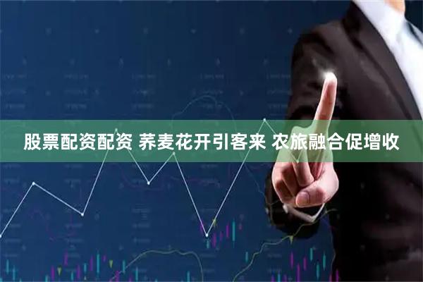 股票配资配资 荞麦花开引客来 农旅融合促增收