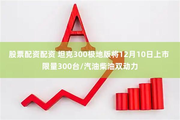 股票配资配资 坦克300极地版将12月10日上市 限量300台/汽油柴油双动力