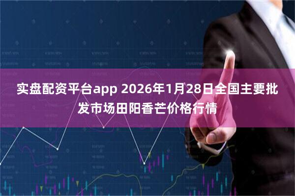 实盘配资平台app 2026年1月28日全国主要批发市场田阳香芒价格行情